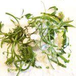 ラ・リューン - メニューＡ 3024円 の今治の藤本さんの旬のイカと姫大根 フレッシュベルベーヌ