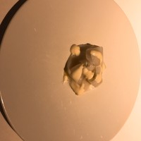 レフェルヴェソンス - 