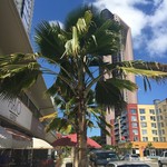 Arvo Café - カラフルなビル