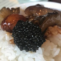 涵梅舫 銀座店 - 