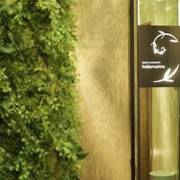 RESTAURANT hidamarino - 店舗入り口