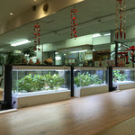 TANITA CAFE - 