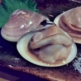 Grilled clams (from Chiba)