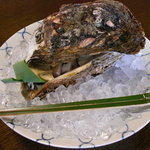 千松しま - 天然物の"牡蠣"。なんと八年ものですぞー。