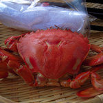 Kunseiya Nampotometarou Shouten - へら蟹の燻製は、イートインのみ！
