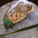千松しま - 殻を外すと牡蠣の身が…