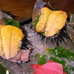 千松しま - がぜ雲丹(アップ)。一片がデカクて身厚。