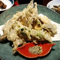 メヒカリの天ぷらがランチでおいしい By Iidagmt 金仙 飯田 懐石 会席料理 食べログ メヒカリの天ぷらがランチでおいしい By Iidagmt 金仙 飯田 懐石 会席料理 食べログ