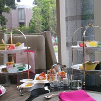 Lounge & Dining G - 