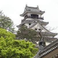 土佐料理 司 高知本店 - 