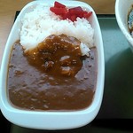 越中境パーキングエリア（上り線）スナックコーナー - ミニカレー