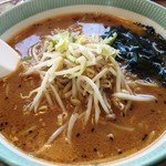 Dosankotaishou - 味噌ラーメン