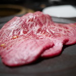 SATOブリアン - 芯々