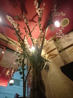 Hakata Yasai Makigushi Mikata - 四季の木