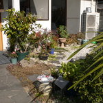 おふくろの味 みむろ - 玄関横の鉢植えが何となく気持ちよいです。