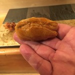 鮓職人 秦野よしき - 