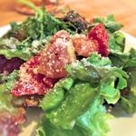 クッチーナ リベロ - 