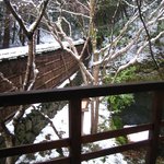 平野屋 - ('11/1)個室の外には、こんな冬らしい景色