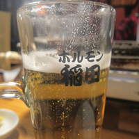 焼肉ホルモン 稲田 - 