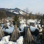 河鹿荘 - 時おり、猿の親子が登場