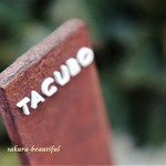 TACUBO - 