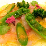 創作イタリアン Gemelli - 真鯛のカルパッチョ 春野菜 カラスミ 乗せ 桜ソース