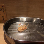 てんぷら 深町 - 