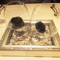 Terres de Truffes, Tokyo - 