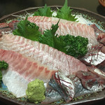 天一 - ひげだいと今年宮崎県でブランド化されたビビアジ