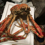 天一 - 幻のタカアシガニ