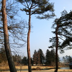 Japanese cuisine  Karatsu