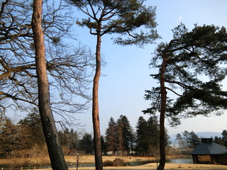 Japanese cuisine  Karatsu