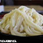 だるまや - うどん
