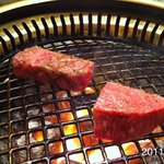 松蘭 - 2011年1月16日、17:30撮影