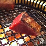 松蘭 - 2011年1月16日、17:30撮影