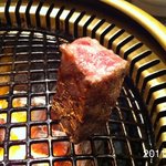 松蘭 - 2011年1月16日、17:30撮影