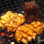 松蘭 - 2011年1月16日、17:30撮影