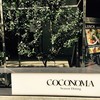Bar&Restaurant COCONOMA