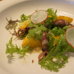 タワラ - シーザーサラダ