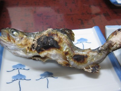 民宿庄子 - 山形市その他（旅館・民宿）の写真