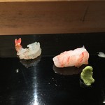 乙女寿司 - 富山海老とガス海老