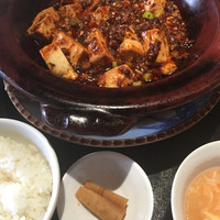 雪梅花 菜根譚 - 