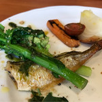 アルフレード - ハタハタ。