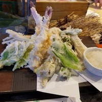 魚竹 - 