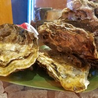 魚竹 - 