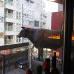 麻布十番焼肉 BULLS - テラス席に牛