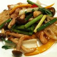 文菜華 - 