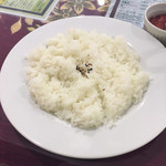 リトルインドパレス - 