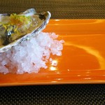 Wattle Tokyo - ランチコース　オイスター