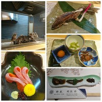 柳家錦 - 